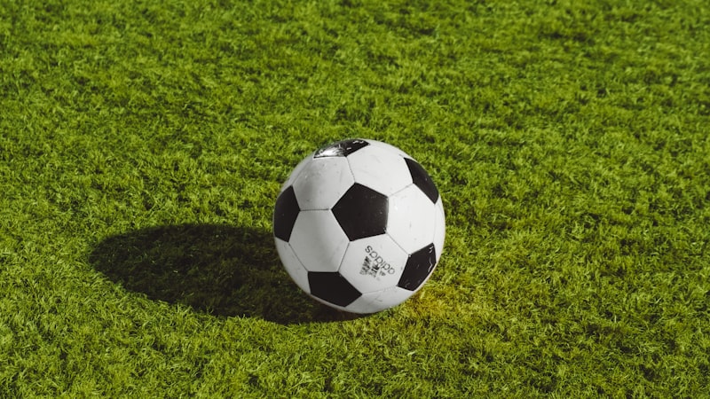 世界杯球迷观赛热情高涨 - 看台上身穿各队球衣的球迷挥舞旗帜